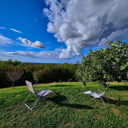 Holiday House Tatil Evi *